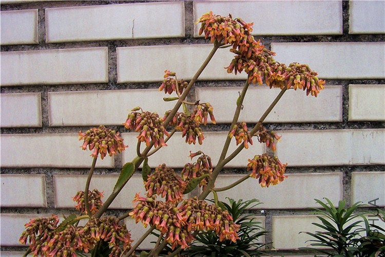 S73F2871.jpg
