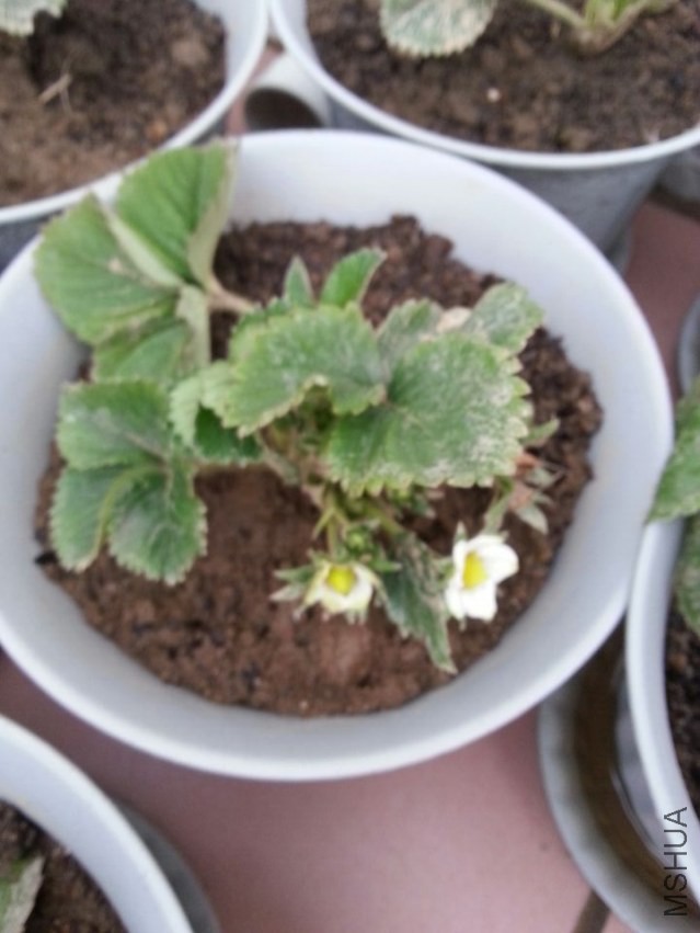 �ұߵĻ��¿�