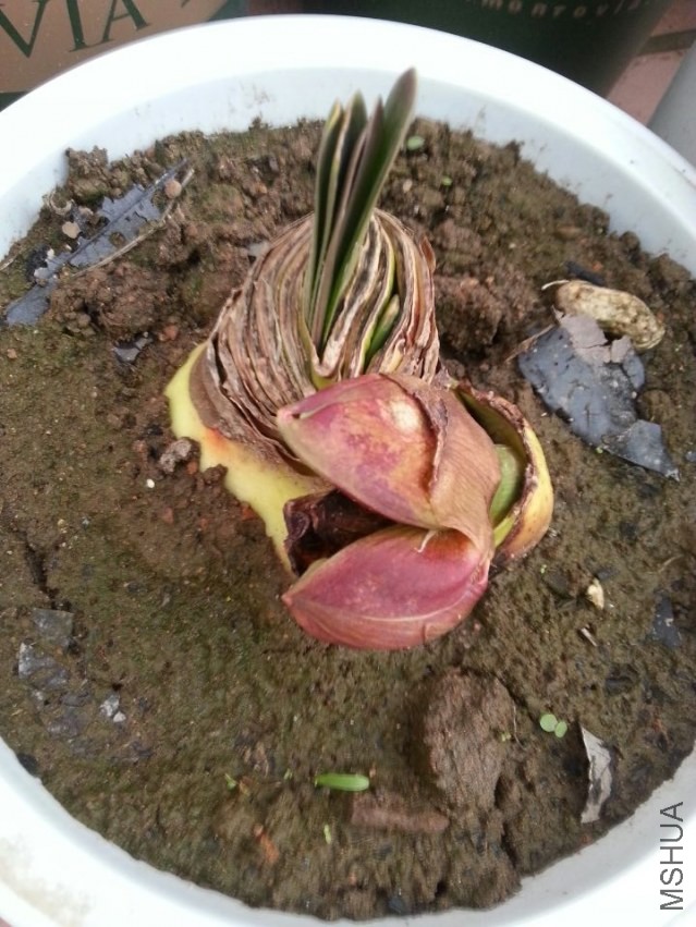 ��������е���ˣ���֪����ô��