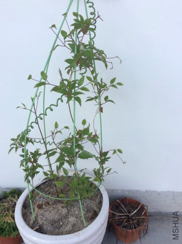psb[3].jpg