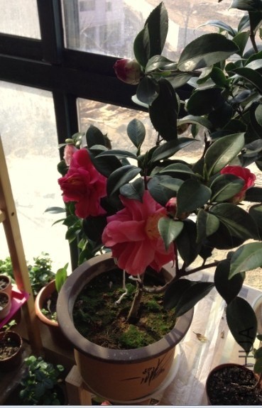 QQͼƬ20140315090517.jpg