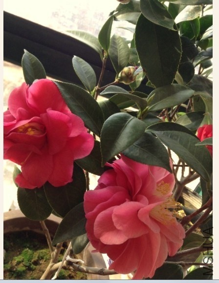 QQͼƬ20140315090535.jpg