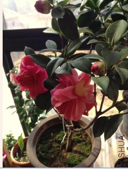 QQͼƬ20140315090543.jpg