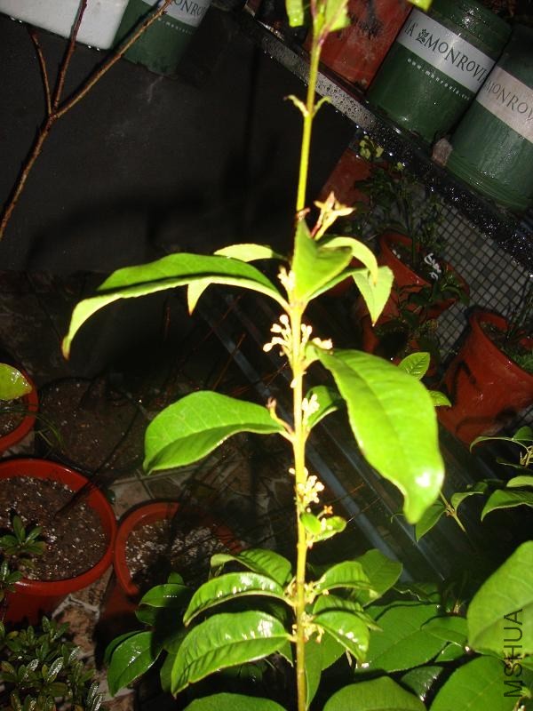 DSC03413.JPG