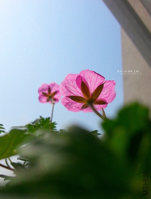 20140314_111153.jpg