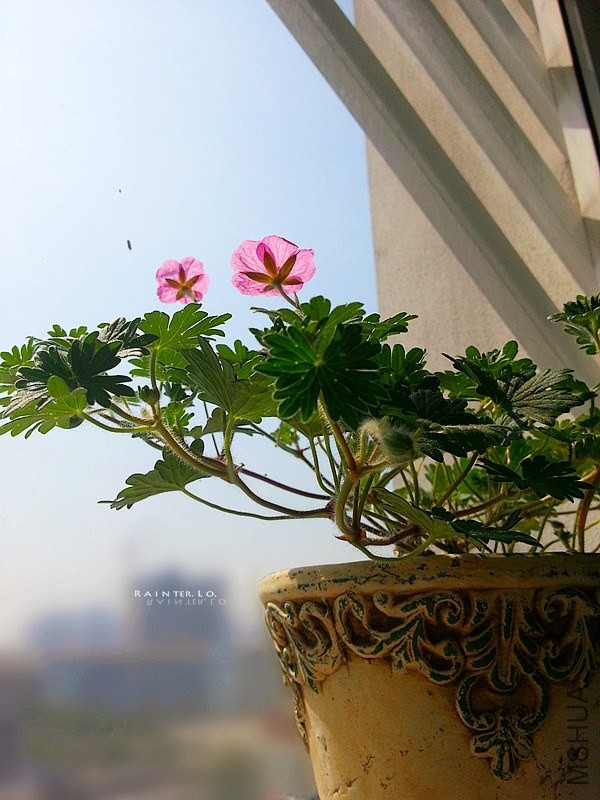 20140314_111512.jpg