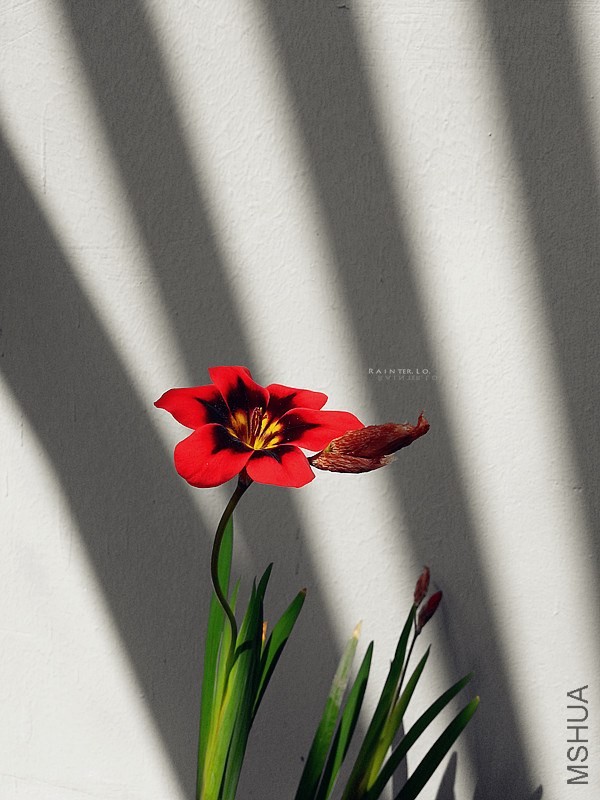 20140315_104117_����.jpg