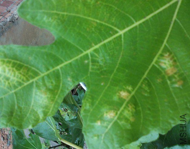 QQͼƬ20140315111101.jpg
