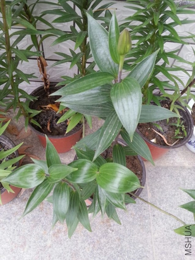 ��Ǩ�ٺϣ�����2����