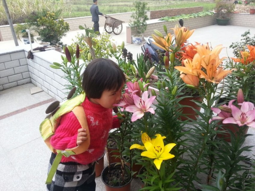 ����ֶŮ��