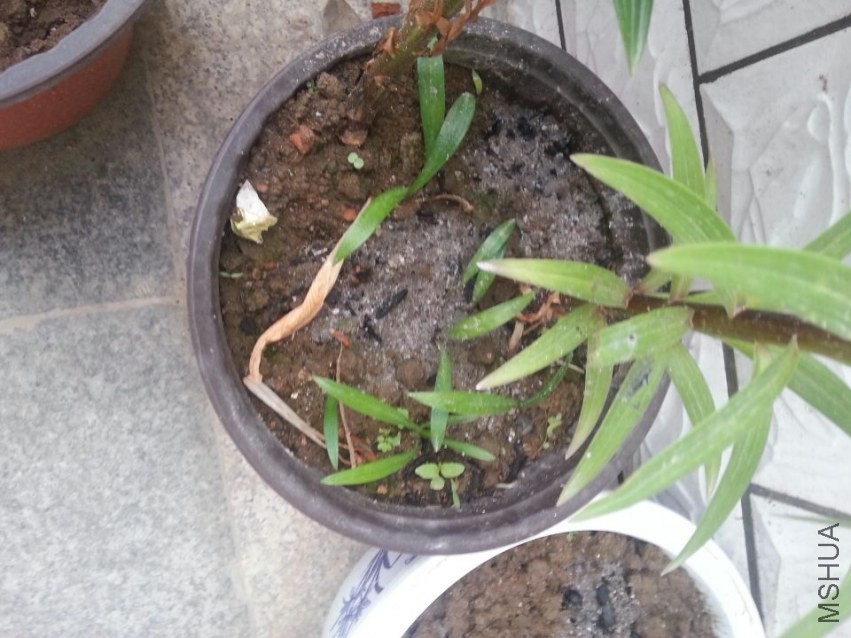 ��Ƭ����С��3