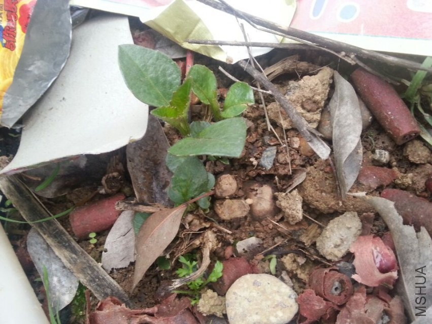 ��Ǩ������