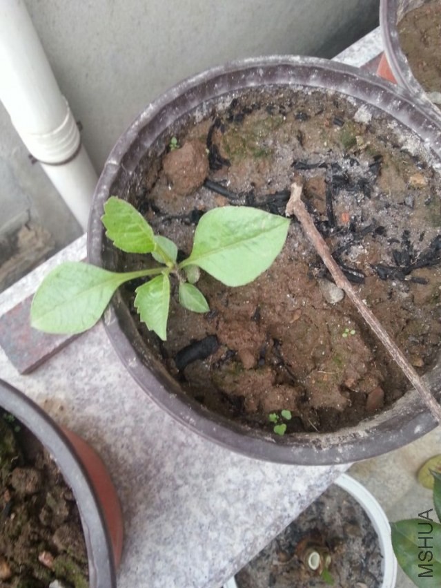 ��Ǩ������2