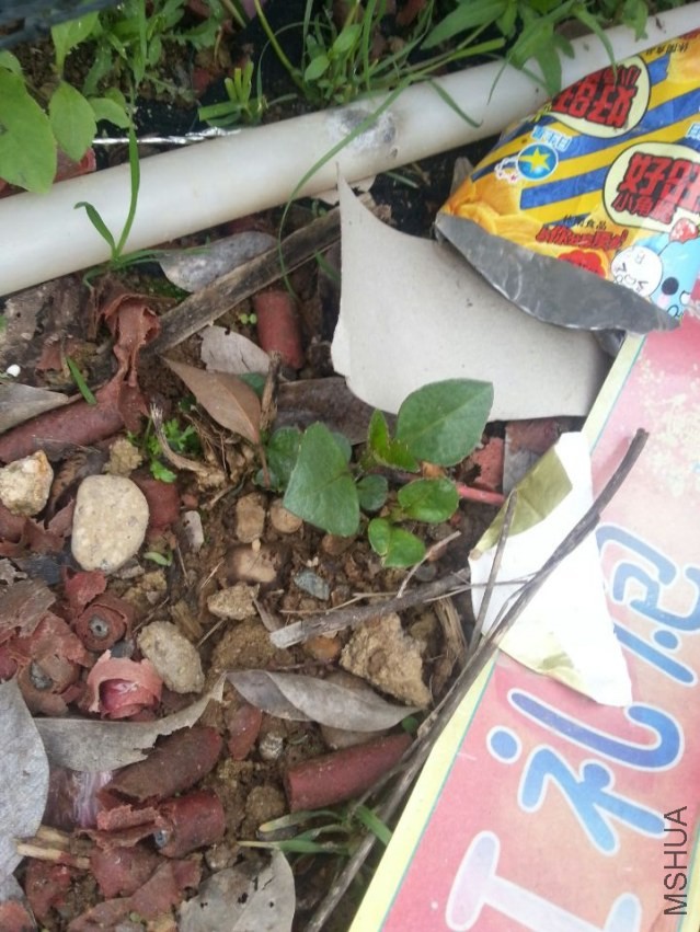 ��Ǩ������3