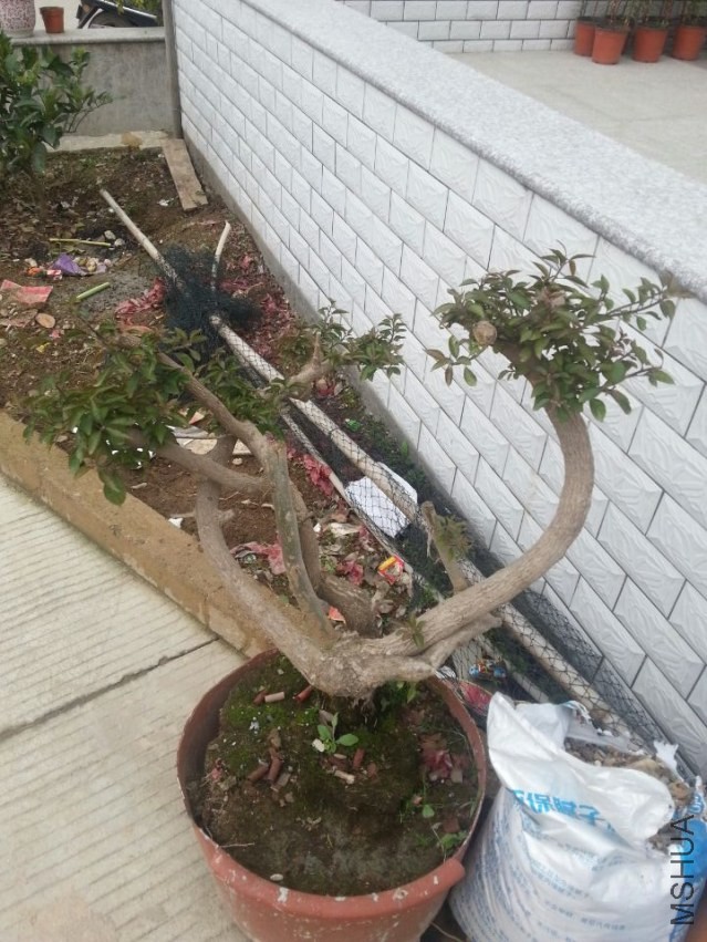 ����Ҫ��ô����ã����