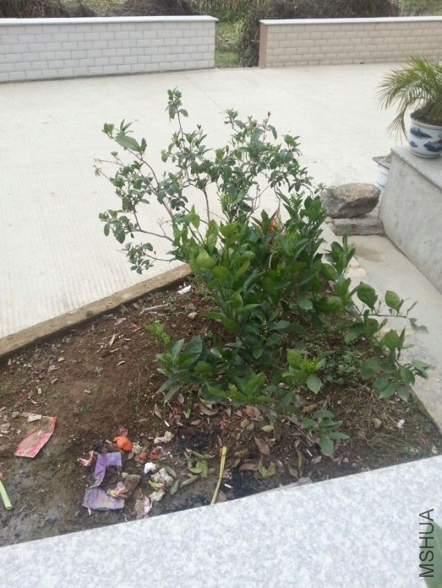 һ���ļ����һ�Ž����ȣ��Ұִӽ������ش������ģ�֮ǰ���������������Ϻ�����