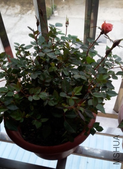 QQ��ͼ20140315195011.jpg