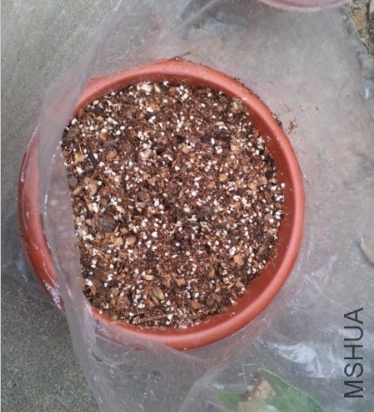 QQ��ͼ20140315194525.jpg