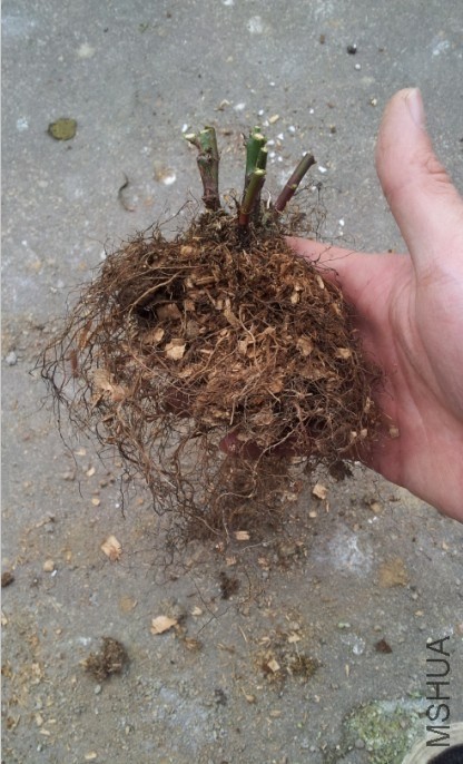 QQ��ͼ20140315194416.jpg