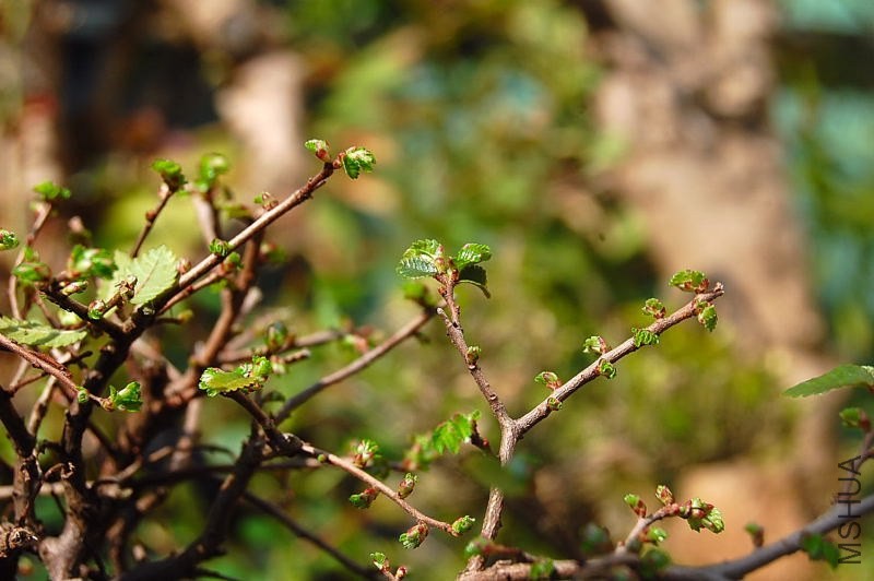 DSC_00190019.JPG