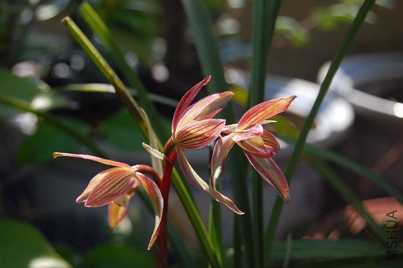 DSC_01500150.JPG