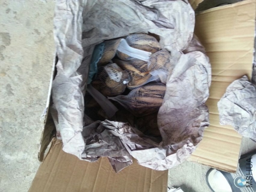 ����ͼ (1).jpg