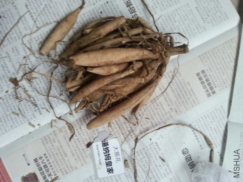 ����ķ�ʼ� (1).jpg