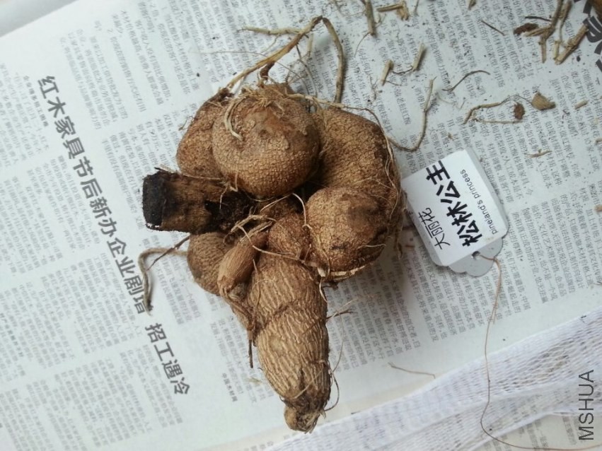 ���ֹ��� (3).jpg