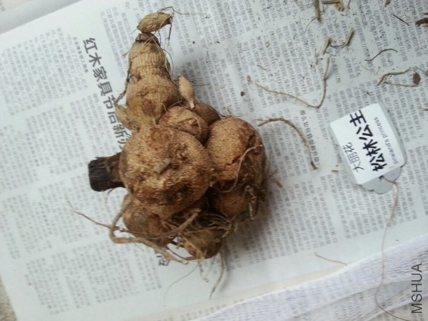 ���ֹ��� (4).jpg