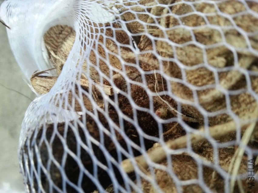 ���ֹ��� (5).jpg