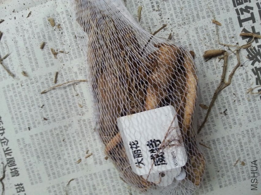 ���� (1).jpg