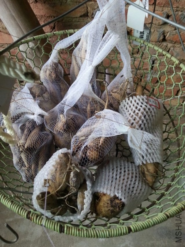 ���� (1).jpg