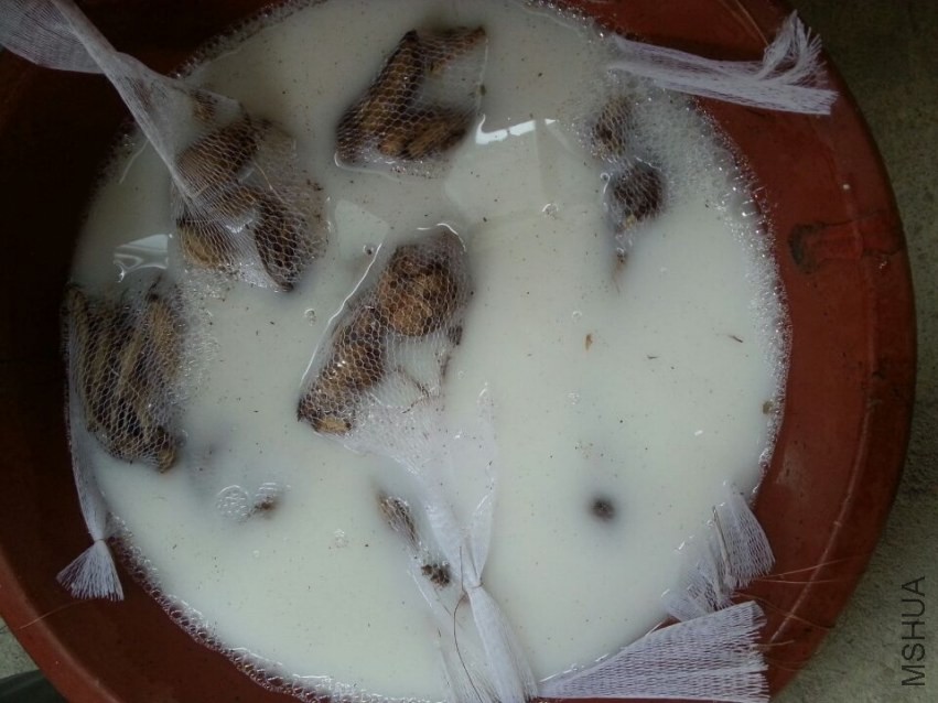 ���� (2).jpg