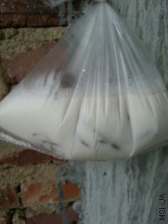 ���� (3).jpg