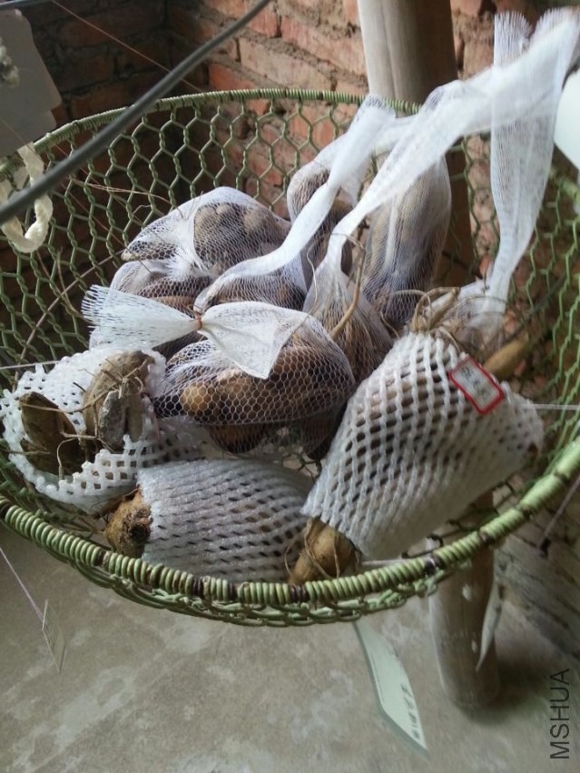 ���� (5).jpg