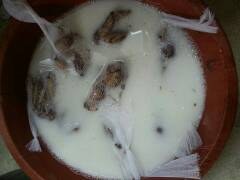 ���� (6).jpg