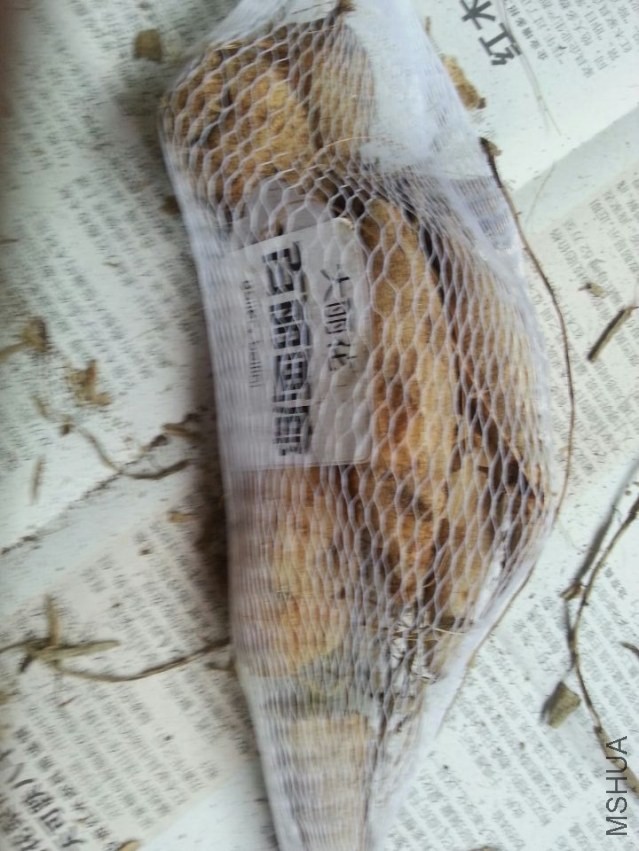 �������� (1).jpg