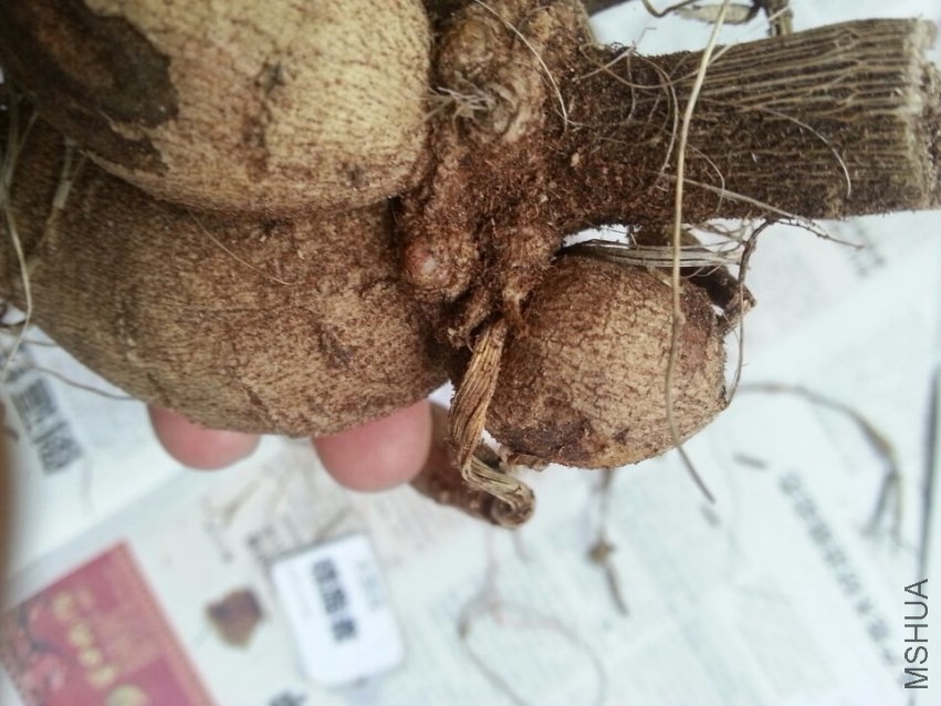 ������ (3).jpg