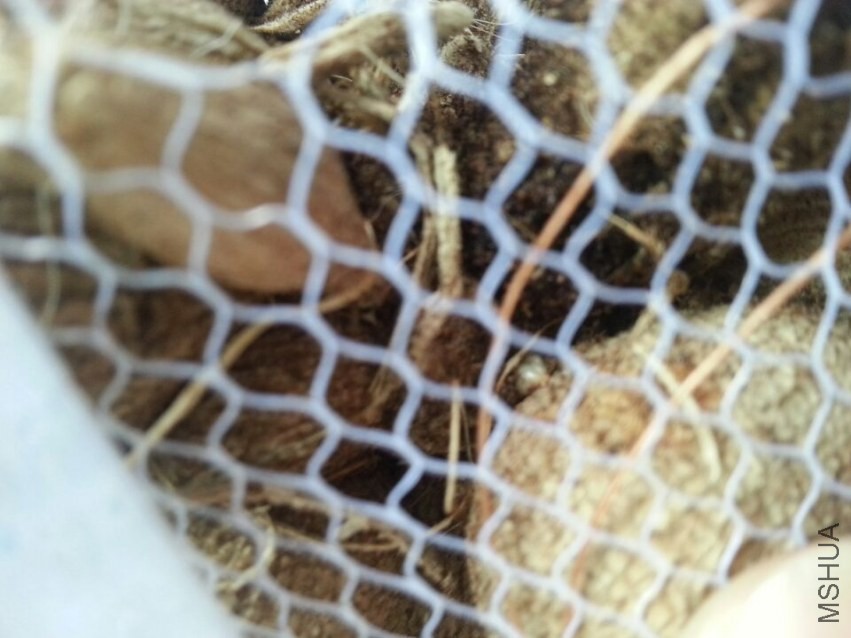 ���ֹ��� (2).jpg