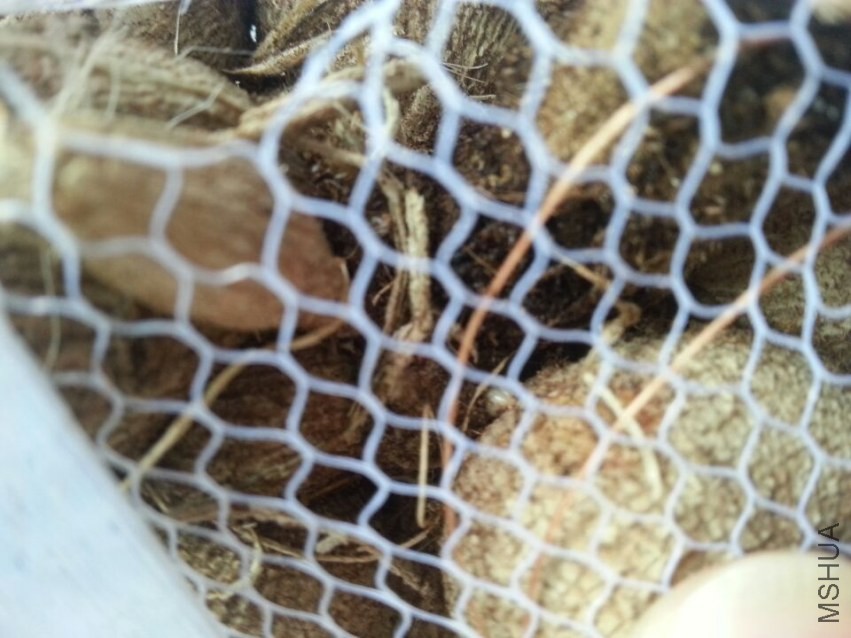 ���ֹ��� (6).jpg