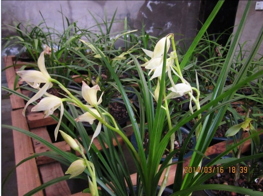 QQͼƬ20140316193452.jpg