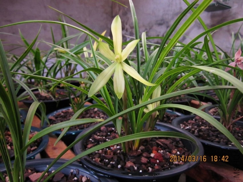 QQͼƬ20140316193514.jpg