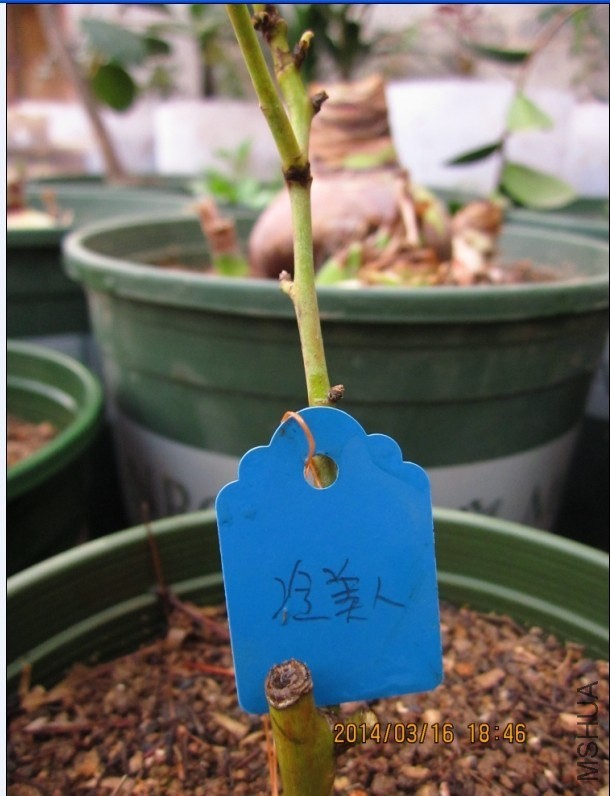 QQͼƬ20140316193549.jpg