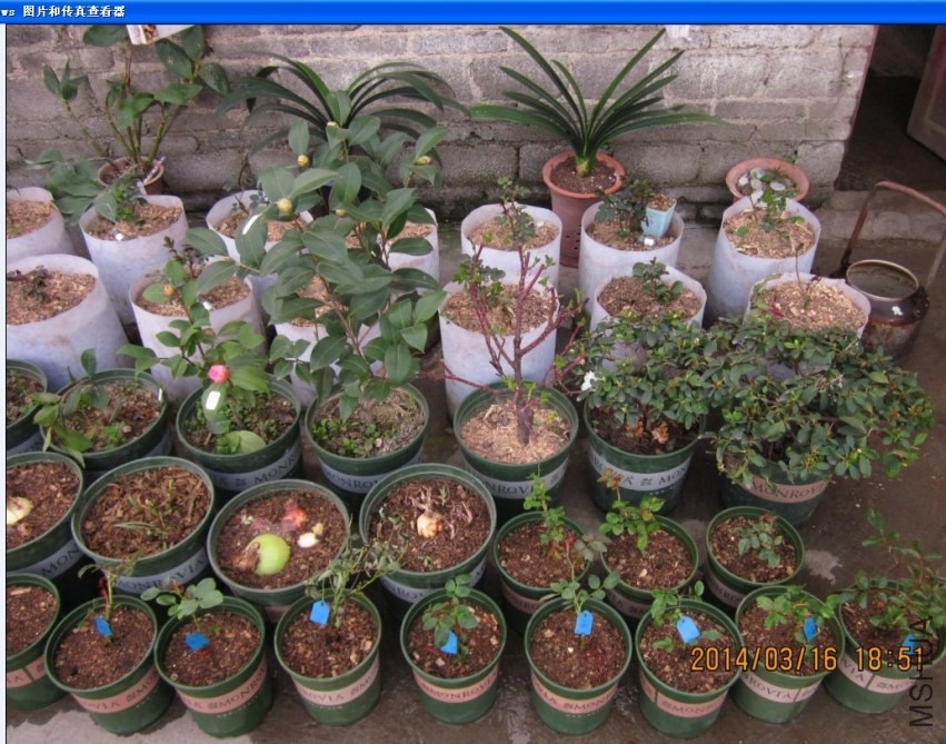 QQͼƬ20140316193638.jpg
