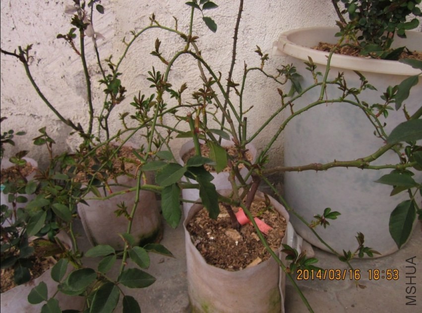 QQͼƬ20140316193702.jpg