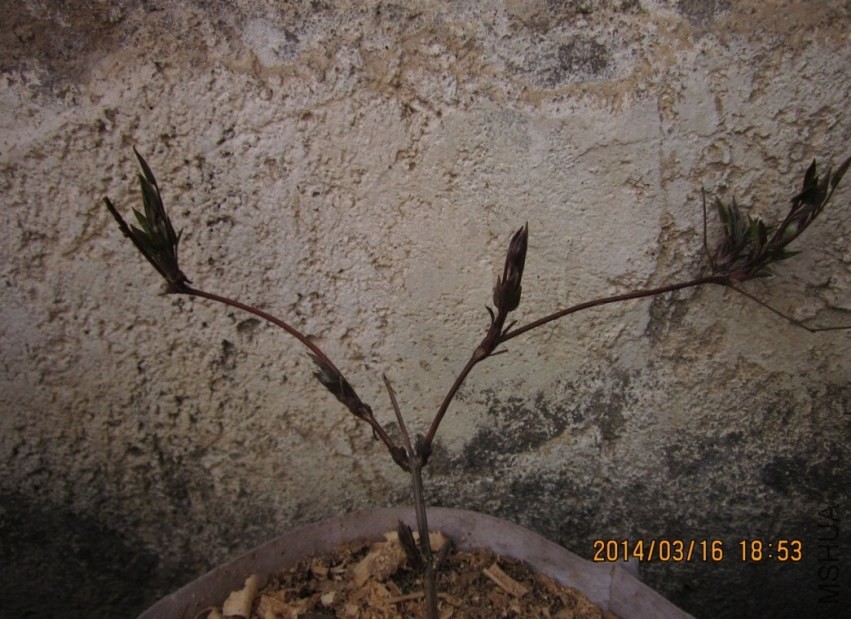 QQͼƬ20140316193705.jpg