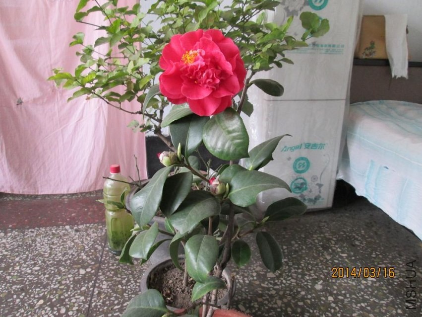 ��Ƭ 050.JPG