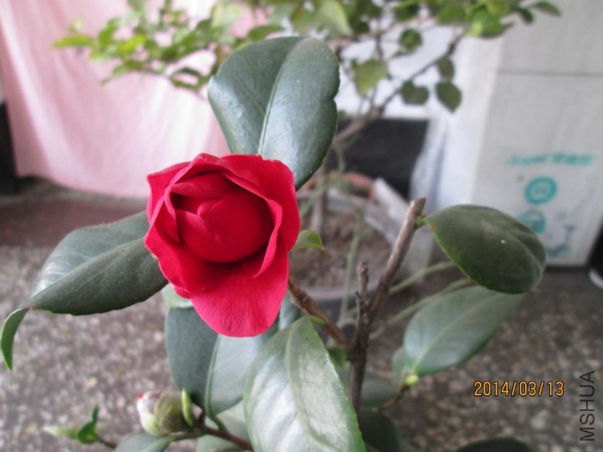 ��Ƭ 022.JPG