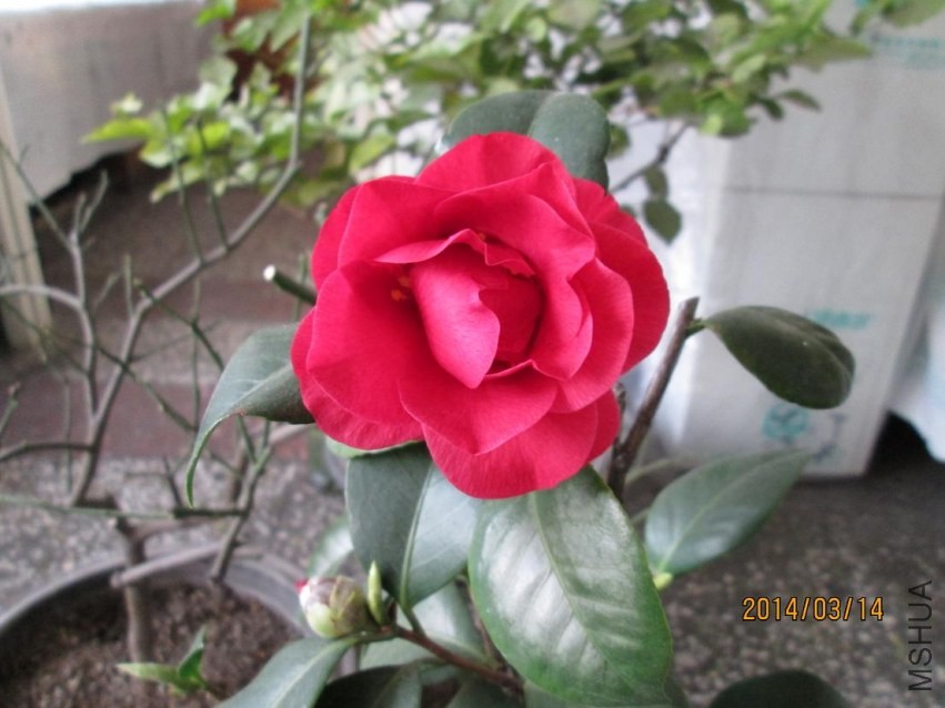 ��Ƭ 030.JPG