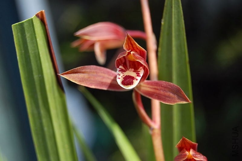 DSC_03090309.JPG
